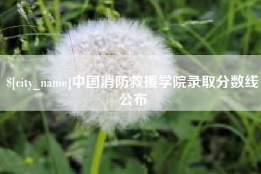 浚县中国消防救援学院录取分数线公布