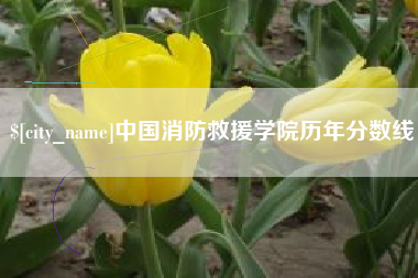浚县中国消防救援学院历年分数线