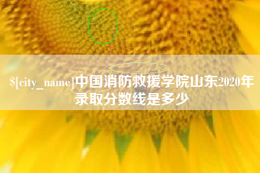浚县中国消防救援学院山东2020年录取分数线是多少