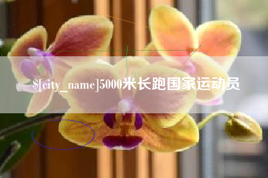 浚县5000米长跑国家运动员