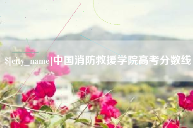 浚县中国消防救援学院高考分数线