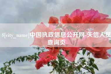 浚县中国执政信息公开网-失信人员查询页