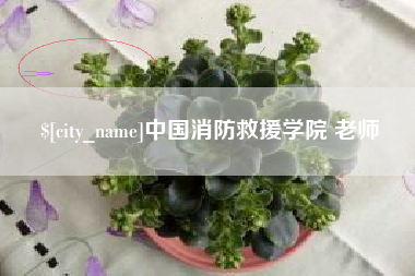 浚县中国消防救援学院 老师