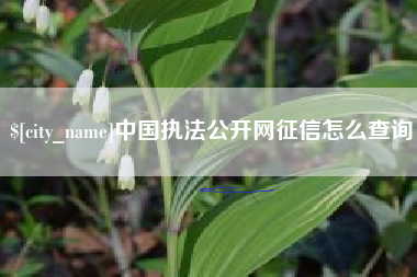 浚县中国执法公开网征信怎么查询