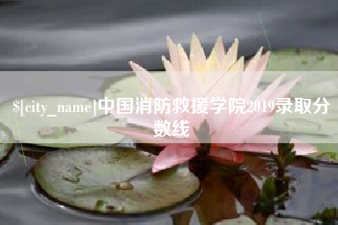 浚县中国消防救援学院2019录取分数线