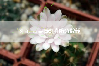 浚县2021消防分数线