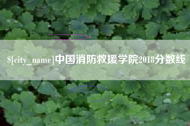 浚县中国消防救援学院2018分数线