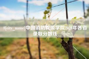 浚县中国消防救援学院2020年各省录取分数线