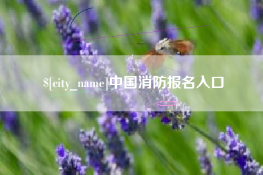 浚县中国消防报名入口