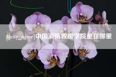 浚县中国消防救援学院是在哪里