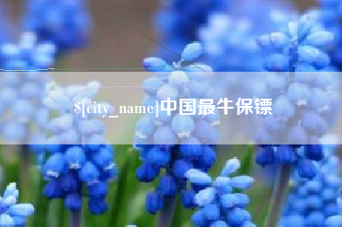浚县中国最牛保镖