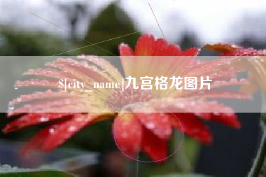 浚县九宫格龙图片