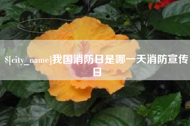 浚县我国消防日是哪一天消防宣传日