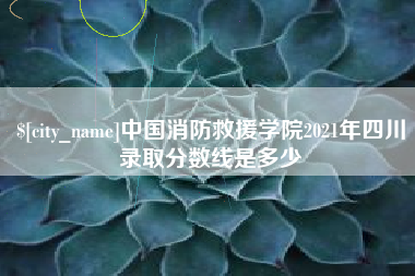 浚县中国消防救援学院2021年四川录取分数线是多少