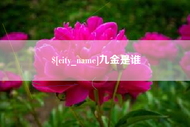浚县九金是谁
