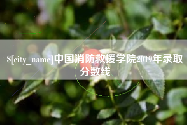 浚县中国消防救援学院2019年录取分数线