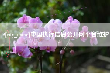 浚县中国执行信息公开网平台维护