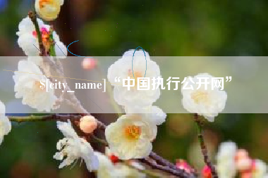 浚县“中国执行公开网”