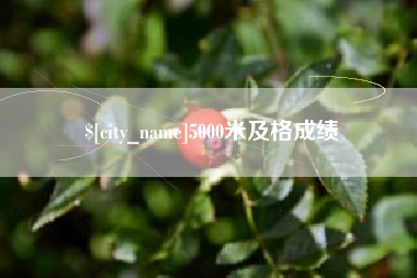 浚县5000米及格成绩