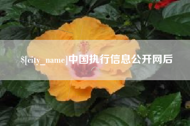 浚县中国执行信息公开网后