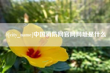 浚县中国消防网官网网址是什么