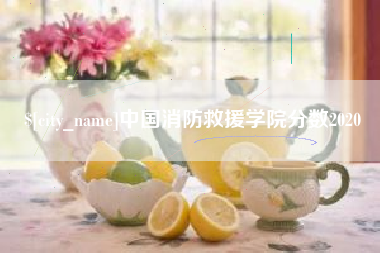 浚县中国消防救援学院分数2020