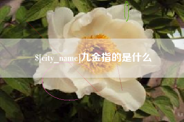 浚县九金指的是什么