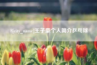 浚县王子豪个人简介乒乓球