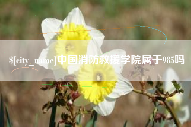 浚县中国消防救援学院属于985吗