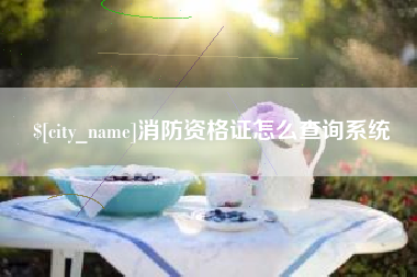 浚县消防资格证怎么查询系统