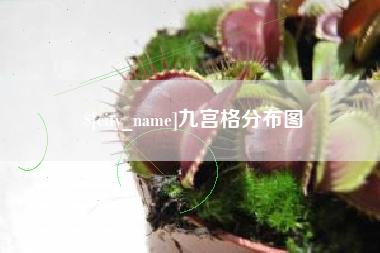 浚县九宫格分布图