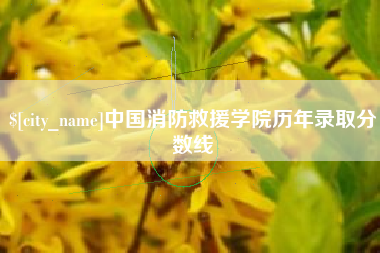 浚县中国消防救援学院历年录取分数线