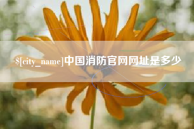 浚县中国消防官网网址是多少