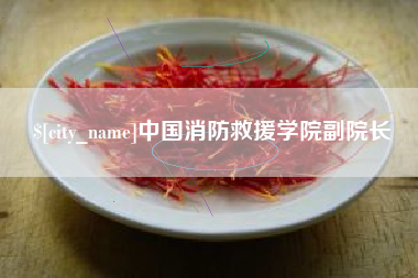 浚县中国消防救援学院副院长
