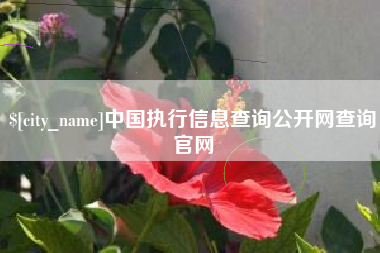 浚县中国执行信息查询公开网查询官网