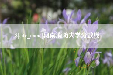浚县河南消防大学分数线