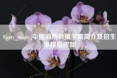 浚县中国消防救援学院简介及招生章程指挥部