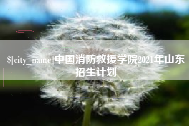 浚县中国消防救援学院2021年山东招生计划