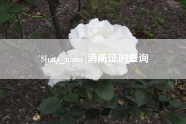 浚县消防证的查询