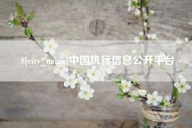 浚县中国执行信息公开平台