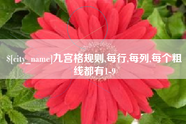 浚县九宫格规则,每行,每列,每个粗线都有1-9