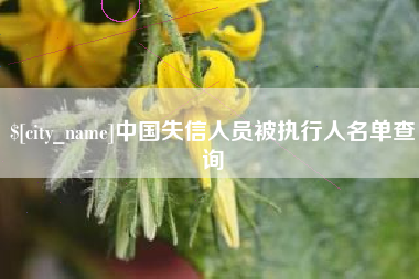 浚县中国失信人员被执行人名单查询