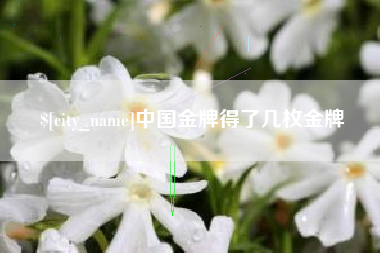 浚县中国金牌得了几枚金牌
