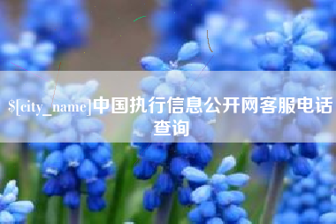 浚县中国执行信息公开网客服电话查询