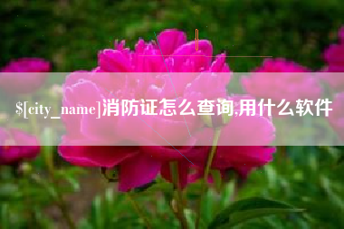 浚县消防证怎么查询,用什么软件