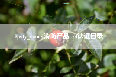浚县消防产品cccf认证目录