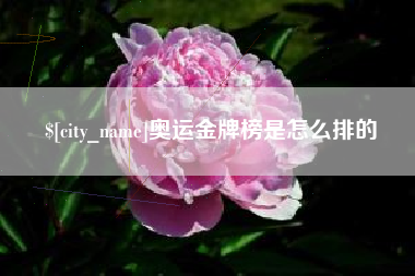 浚县奥运金牌榜是怎么排的