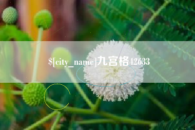 浚县九宫格42633