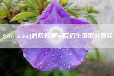 浚县消防救援学院招生录取分数线