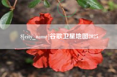 浚县谷歌卫星地图2025